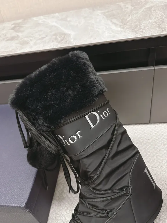 Dior Shoe 